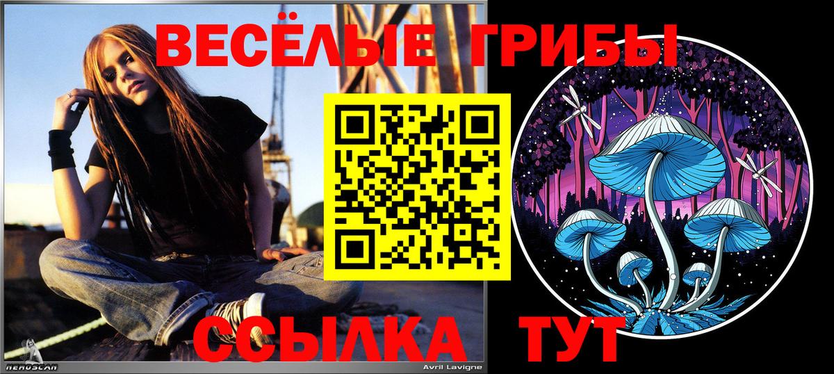 Псилоцибиновые грибы Psilocybe Похвистнево