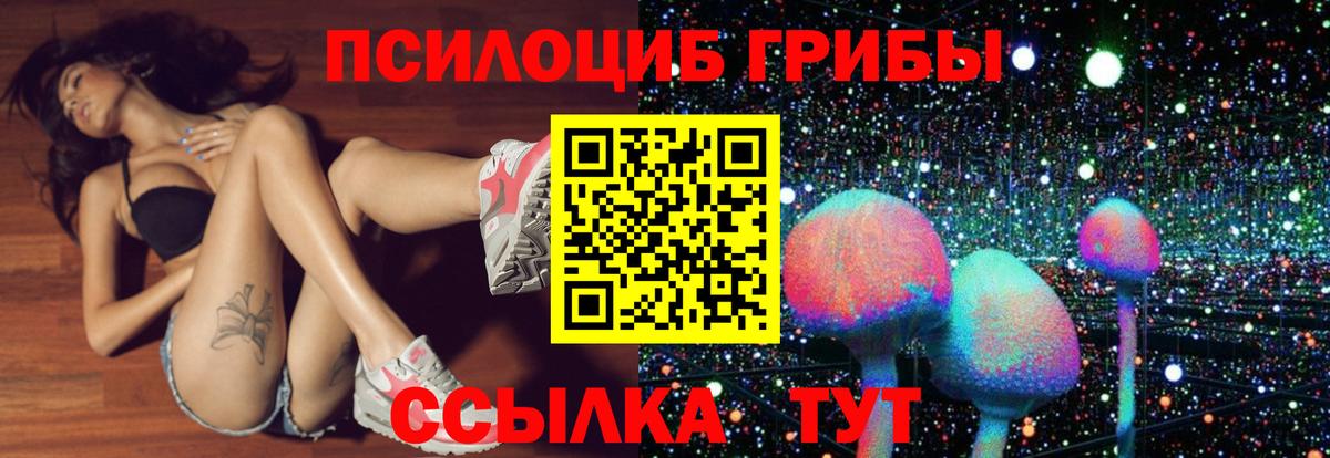 Похвистнево  Галлюциногенные грибы ЛСД  Вход с VPN 